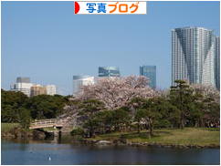 にほんブログ村 写真ブログへ