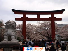 にほんブログ村 写真ブログへ