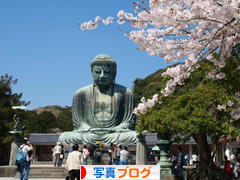 にほんブログ村 写真ブログへ