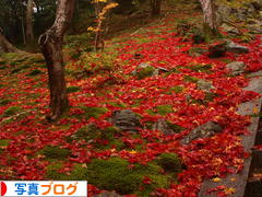 にほんブログ村 写真ブログへ