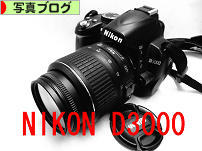 D3000