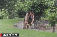 にほんブログ村 写真ブログへ