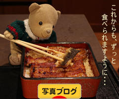 にほんブログ村 写真ブログへ