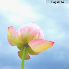 にほんブログ村 写真ブログ 写真日記へ