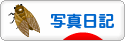 にほんブログ村 写真ブログ 写真日記へ