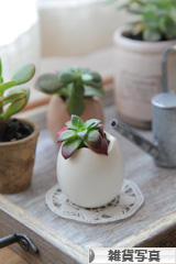 にほんブログ村 写真ブログ 雑貨写真へ