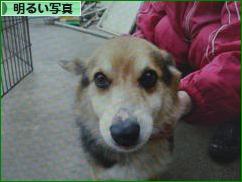 にほんブログ村 写真ブログ 明るい写真へ