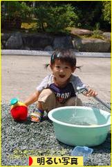 にほんブログ村 写真ブログ 明るい写真へ