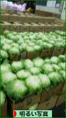 にほんブログ村 写真ブログ 明るい写真へ