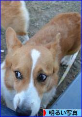 にほんブログ村 写真ブログ 明るい写真へ