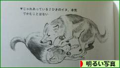 にほんブログ村 写真ブログ 明るい写真へ