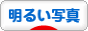 にほんブログ村 写真ブログ 明るい写真へ
