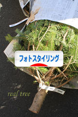 にほんブログ村 写真ブログ フォトスタイリングへ