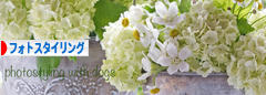 にほんブログ村 写真ブログ フォトスタイリングへ