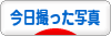 にほんブログ村 写真ブログ 今日撮った写真へ