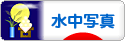 にほんブログ村 写真ブログ 水中写真へ