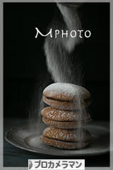 にほんブログ村 写真ブログ プロカメラマンへ