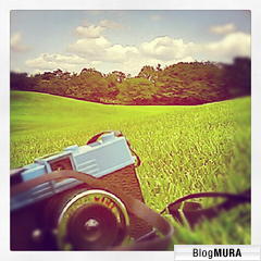 にほんブログ村 写真ブログ トイカメラへ