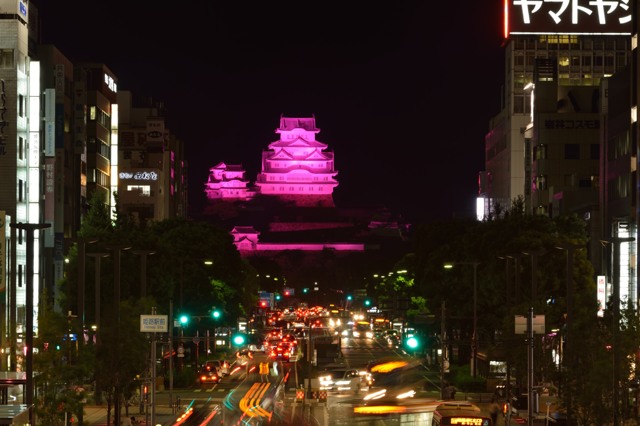 ピンクの姫路城 15 Shuppoのフォトログ ピンクの姫路城 15 Shuppoのフォトログ