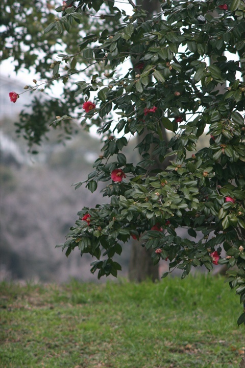 2015年3月7日新木場150307-130101-IMG_1085_R
