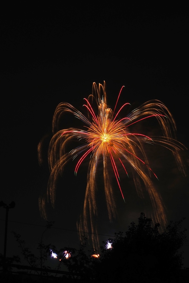 ダーウィンが来る