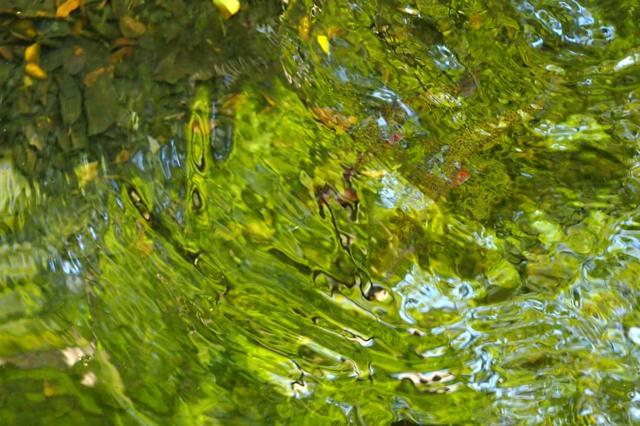 君は君 我は我なり されど仲よき2