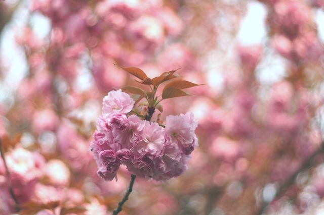 Break away from the pack 3