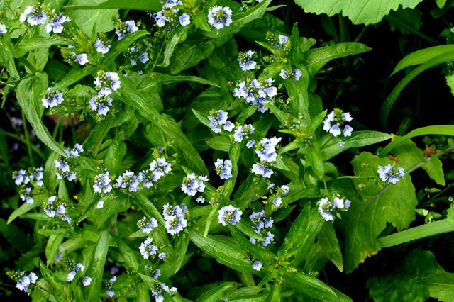 誰かに似ている2