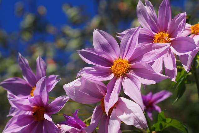 主役は譲れない2