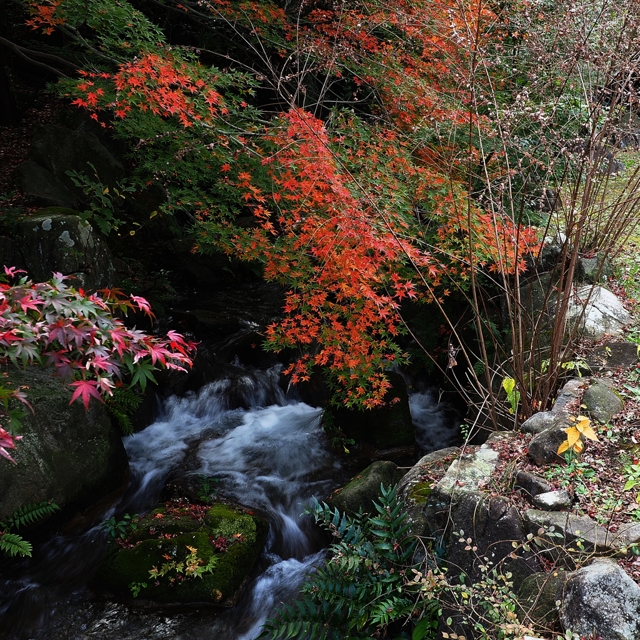 22kmチャリの旅①