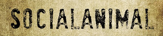 41-socialanimal