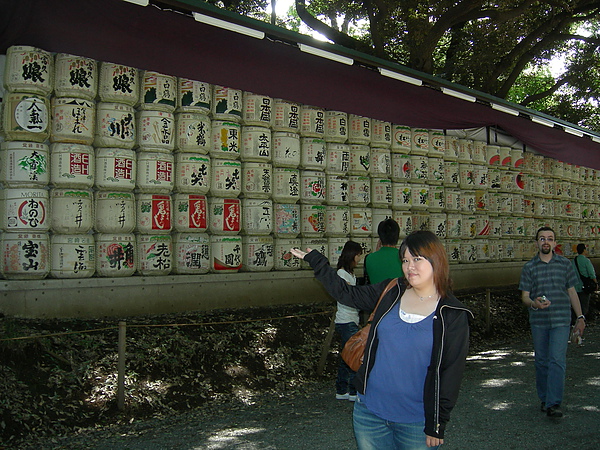 DSCN8687.JPG