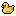 アヒル