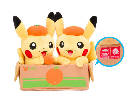 ☆4201☆ ピカチュウ、みかん箱に入る。ライチュウ＆ピチューと愛媛 