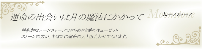 ムーンストーン 運命の出会いは月の魔法にかかって