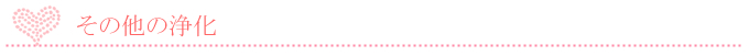 その他の浄化