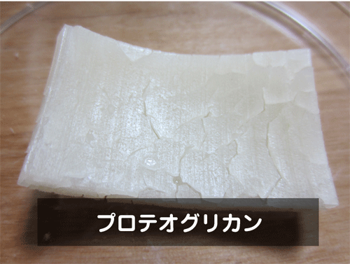 mochi14