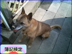 にほんブログ村 資格ブログ 簿記検定へ