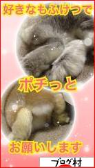 にほんブログ村 うさぎブログ ホーランドロップイヤーへ