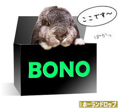 にほんブログ村 うさぎブログ ホーランドロップイヤーへ