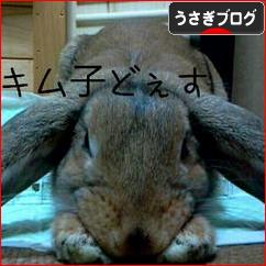 にほんブログ村 うさぎブログへ