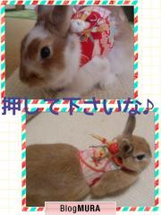 にほんブログ村 うさぎブログへ