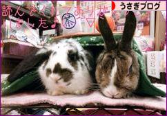 にほんブログ村 うさぎブログへ