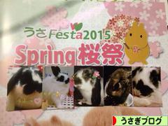 にほんブログ村 うさぎブログへ