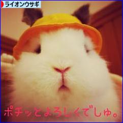 にほんブログ村 うさぎブログ ライオンウサギへ
