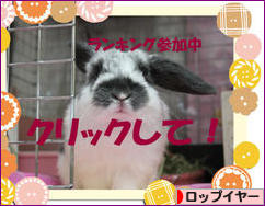 にほんブログ村 うさぎブログ ロップイヤーへ