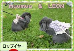 にほんブログ村 うさぎブログ ロップイヤーへ