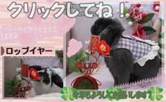 にほんブログ村 うさぎブログ ロップイヤーへ