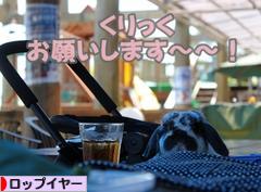 にほんブログ村 うさぎブログ ロップイヤーへ