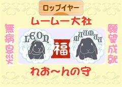 にほんブログ村 うさぎブログ ロップイヤーへ